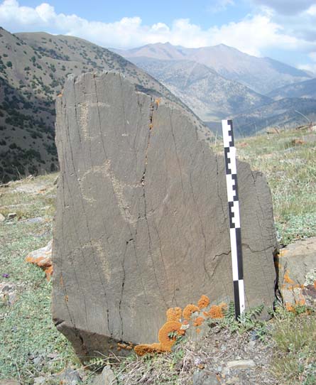 Figure 12