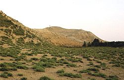 Nurtepa