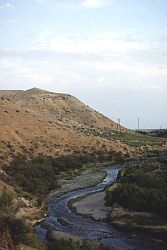 Nurtepa